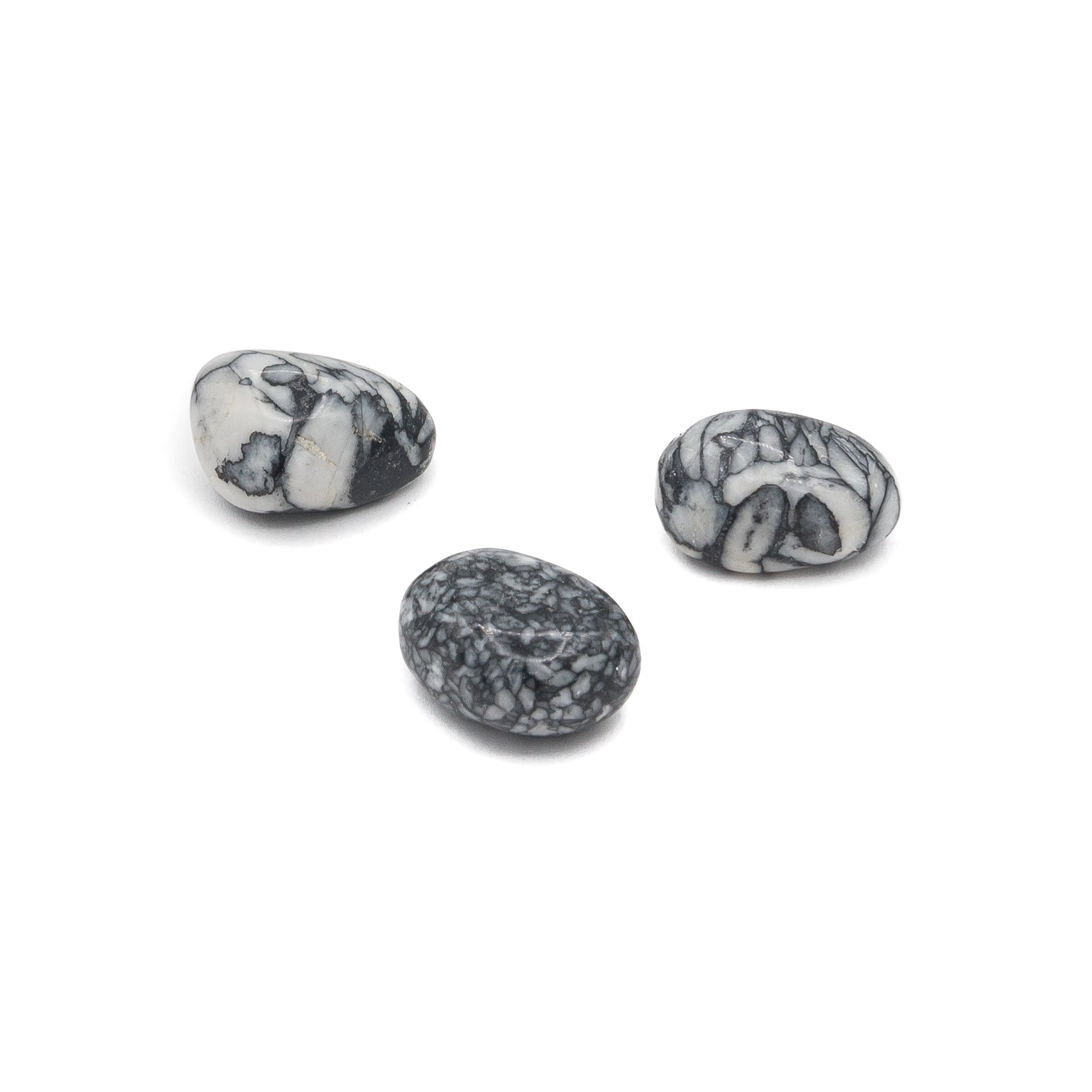 Pinolith Tumble $12